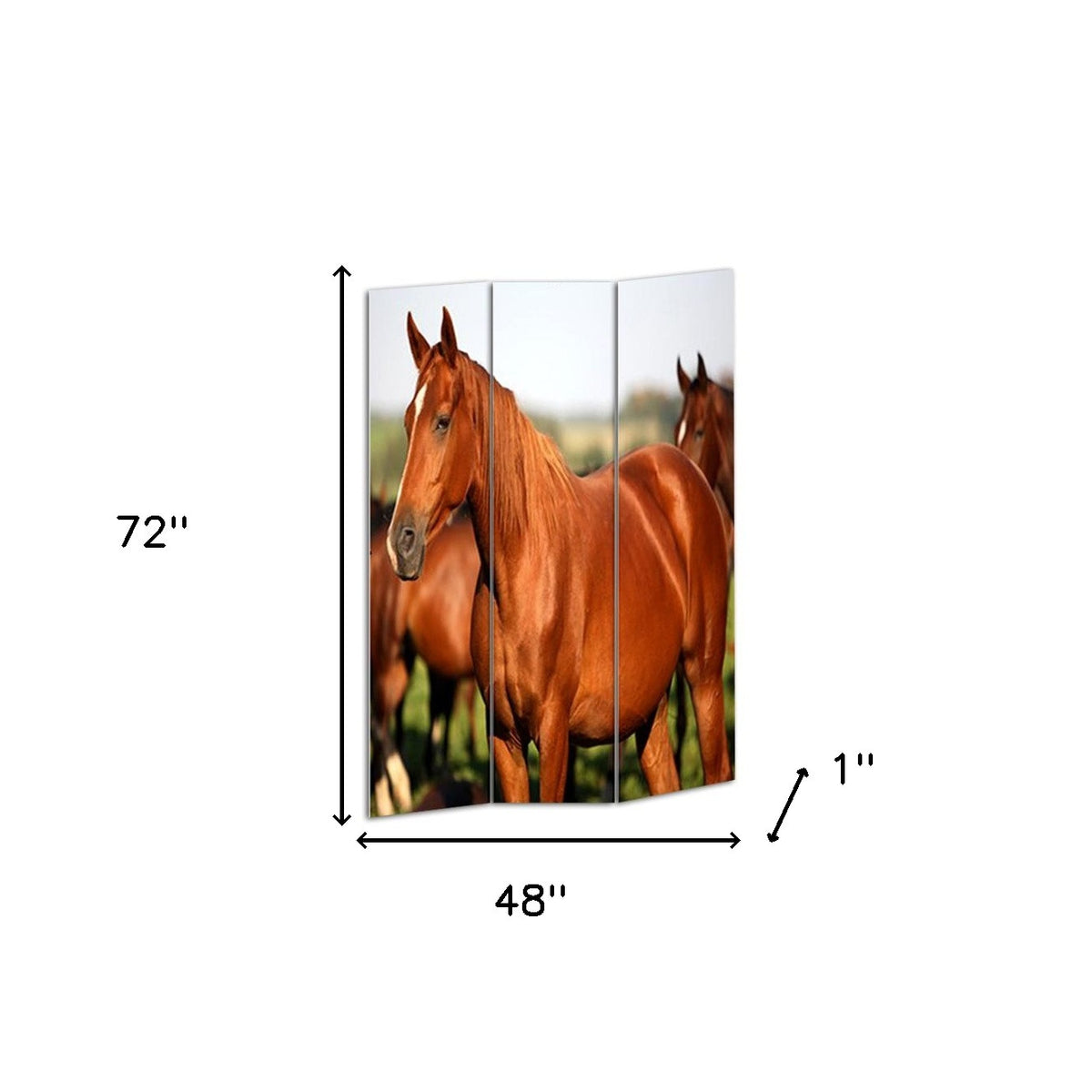 72" Brown And White Canvas Folding Three Panel Screen Room Divider